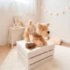 Peluche Perrito Zuavielle Toby Juguetón1 Perrito Toby Juguetón